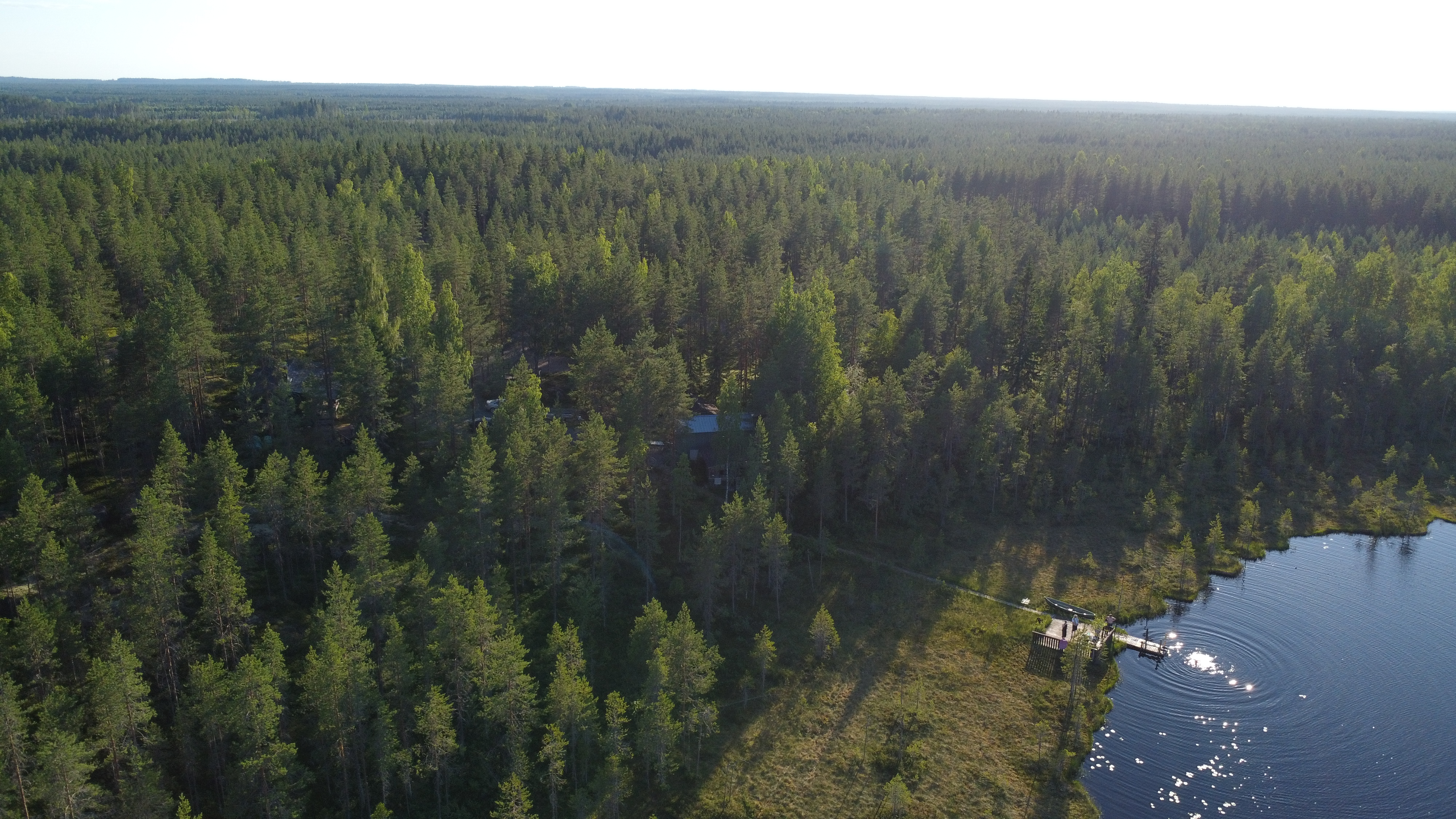 Drone View